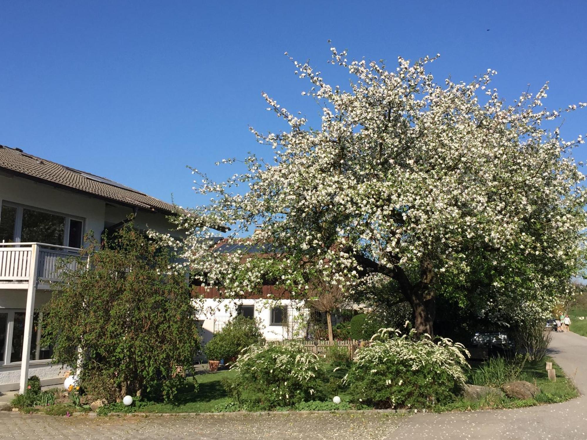 Haus Irmgard Bad Endorf